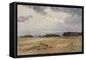 A Field with Groups of Trees, 19Th Century;-John Absolon-Framed Stretched Canvas