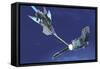 A Fighter Spacecraft Blasts a Large Enemy Battleship with a Laser Beam-Stocktrek Images-Framed Stretched Canvas