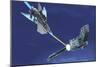 A Fighter Spacecraft Blasts a Large Enemy Battleship with a Laser Beam-Stocktrek Images-Mounted Art Print