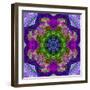 A Filigree Mandala from Color Drawing and Flower Photograph, Layered Work-Alaya Gadeh-Framed Photographic Print