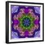 A Filigree Mandala from Color Drawing and Flower Photograph, Layered Work-Alaya Gadeh-Framed Photographic Print