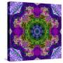 A Filigree Mandala from Color Drawing and Flower Photograph, Layered Work-Alaya Gadeh-Stretched Canvas