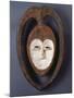 A Fine and Rare Kwele Mask-null-Mounted Giclee Print