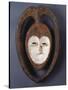 A Fine and Rare Kwele Mask-null-Stretched Canvas