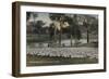 A Fine Flock of Australian Sheep-null-Framed Giclee Print