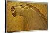 A fine golden lacquered and carved panel deeply carved in intaglio with the head of a stallion-Jean Dunand-Stretched Canvas