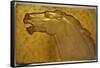 A fine golden lacquered and carved panel deeply carved in intaglio with the head of a stallion-Jean Dunand-Framed Stretched Canvas