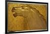 A fine golden lacquered and carved panel deeply carved in intaglio with the head of a stallion-Jean Dunand-Framed Giclee Print