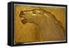 A fine golden lacquered and carved panel deeply carved in intaglio with the head of a stallion-Jean Dunand-Framed Stretched Canvas
