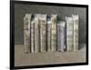 A Fine Library, 2004-Jonathan Wolstenholme-Framed Giclee Print