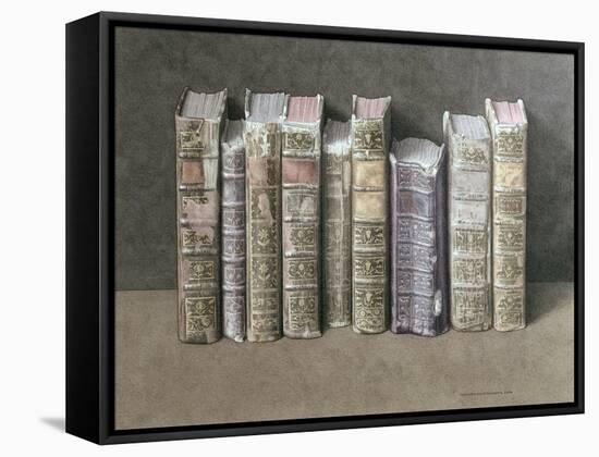 A Fine Library, 2004-Jonathan Wolstenholme-Framed Stretched Canvas