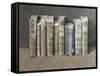 A Fine Library, 2004-Jonathan Wolstenholme-Framed Stretched Canvas