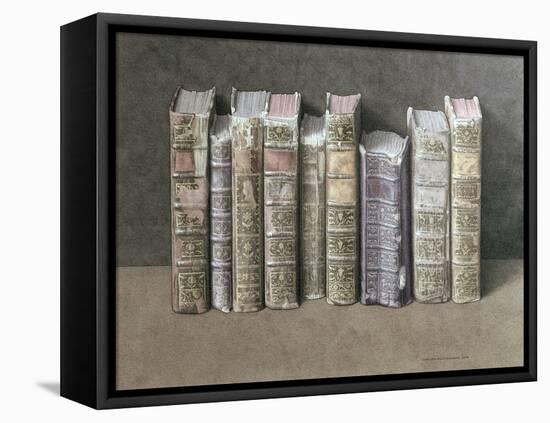 A Fine Library, 2004-Jonathan Wolstenholme-Framed Stretched Canvas