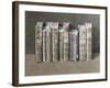 A Fine Library, 2004-Jonathan Wolstenholme-Framed Giclee Print