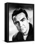 A Fine Madness, Sean Connery, 1966-null-Framed Stretched Canvas