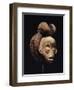 A Fine Punu Mask-null-Framed Giclee Print