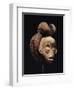 A Fine Punu Mask-null-Framed Giclee Print