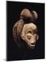 A Fine Punu Mask-null-Mounted Giclee Print