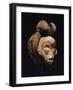 A Fine Punu Mask-null-Framed Giclee Print