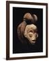 A Fine Punu Mask-null-Framed Giclee Print