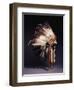 A Fine Sioux War Bonnet, Sewn with Twenty-Nine Eagle Feathers-null-Framed Premium Giclee Print