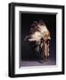 A Fine Sioux War Bonnet, Sewn with Twenty-Nine Eagle Feathers-null-Framed Premium Giclee Print