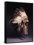 A Fine Sioux War Bonnet, Sewn with Twenty-Nine Eagle Feathers-null-Framed Stretched Canvas