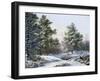 A Fine Winter's Day-Pieter Gerardus van Os-Framed Giclee Print