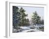 A Fine Winter's Day-Pieter Gerardus van Os-Framed Giclee Print