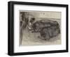 A Finishing Touch, a Sketch from Life at the Smithfield Club Show-William Small-Framed Giclee Print