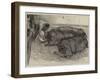 A Finishing Touch, a Sketch from Life at the Smithfield Club Show-William Small-Framed Giclee Print