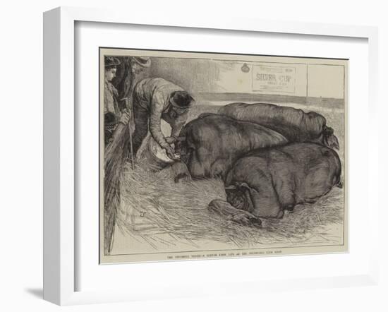 A Finishing Touch, a Sketch from Life at the Smithfield Club Show-William Small-Framed Giclee Print