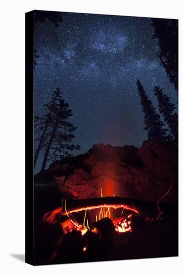 A Fire Burns under a Canopy of Stars and Evergreens in the Seven Devil Mountains in Central Idaho-Ben Herndon-Stretched Canvas