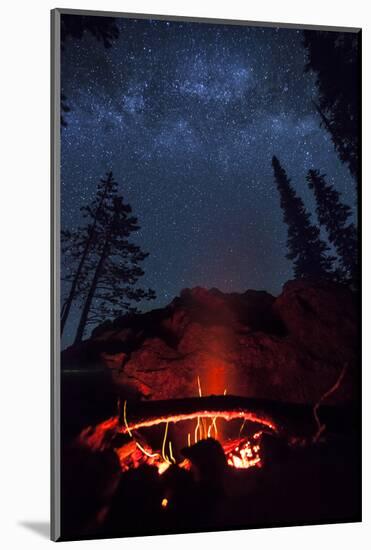 A Fire Burns under a Canopy of Stars and Evergreens in the Seven Devil Mountains in Central Idaho-Ben Herndon-Mounted Photographic Print