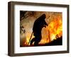 A Fire Fighter Retreats from a Forest Fire Near Fraldeu, Central Portugal-null-Framed Photographic Print