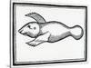 A Fish Called 'Manati' from 'La Historia General De Las Indias' 1547-Christopher Columbus-Stretched Canvas