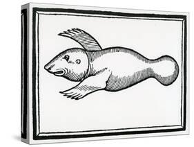A Fish Called 'Manati' from 'La Historia General De Las Indias' 1547-Christopher Columbus-Stretched Canvas