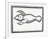 A Fish Called 'Manati' from 'La Historia General De Las Indias' 1547-Christopher Columbus-Framed Giclee Print