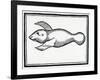 A Fish Called 'Manati' from 'La Historia General De Las Indias' 1547-Christopher Columbus-Framed Giclee Print