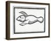 A Fish Called 'Manati' from 'La Historia General De Las Indias' 1547-Christopher Columbus-Framed Giclee Print