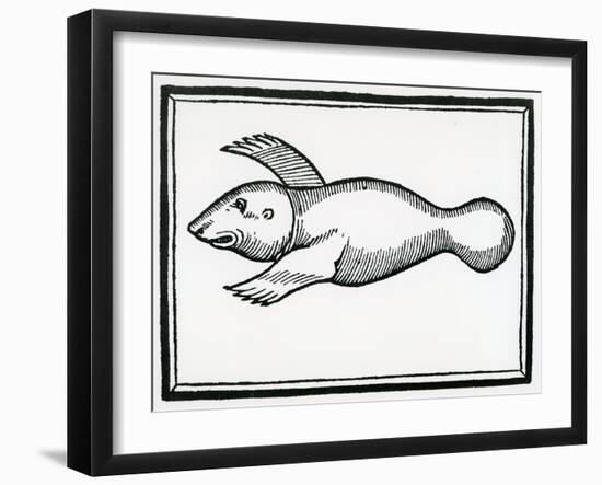 A Fish Called 'Manati' from 'La Historia General De Las Indias' 1547-Christopher Columbus-Framed Giclee Print