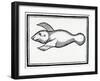 A Fish Called 'Manati' from 'La Historia General De Las Indias' 1547-Christopher Columbus-Framed Giclee Print