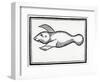 A Fish Called 'Manati' from 'La Historia General De Las Indias' 1547-Christopher Columbus-Framed Giclee Print