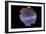 A Fish-Eye 360 Degree Image of the Entire Southern Sky-null-Framed Photographic Print