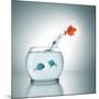 A Fishbowl With A Red Fish Jumping Out Of The Water-magann-Mounted Photographic Print