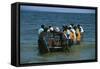 A Fishing Boat Landing from the Lake Victoria, Uganda-null-Framed Stretched Canvas