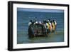 A Fishing Boat Landing from the Lake Victoria, Uganda-null-Framed Giclee Print