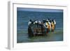 A Fishing Boat Landing from the Lake Victoria, Uganda-null-Framed Giclee Print