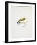 A Fishing Fly and Hook, Fishing Tackle-Fraser Sandeman-Framed Giclee Print