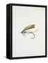 A Fishing Fly and Hook, Fishing Tackle-Fraser Sandeman-Framed Stretched Canvas